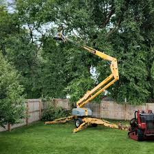 Best Tree Risk Assessment  in Sammamish, WA