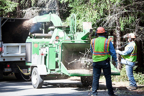 Soil Testing and Treatment in Sammamish, WA